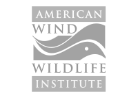 American Wind Wildlife Institute